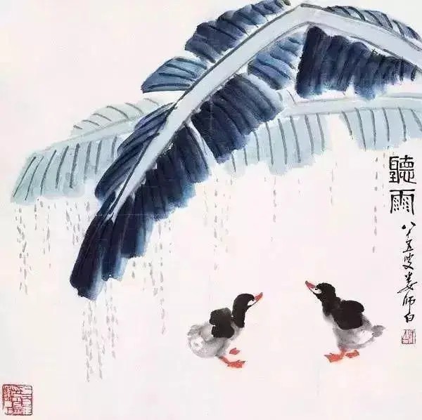 听雨