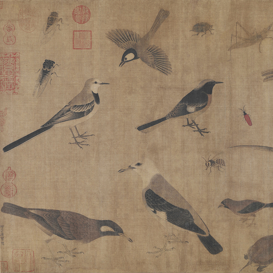 【写生珍禽图】