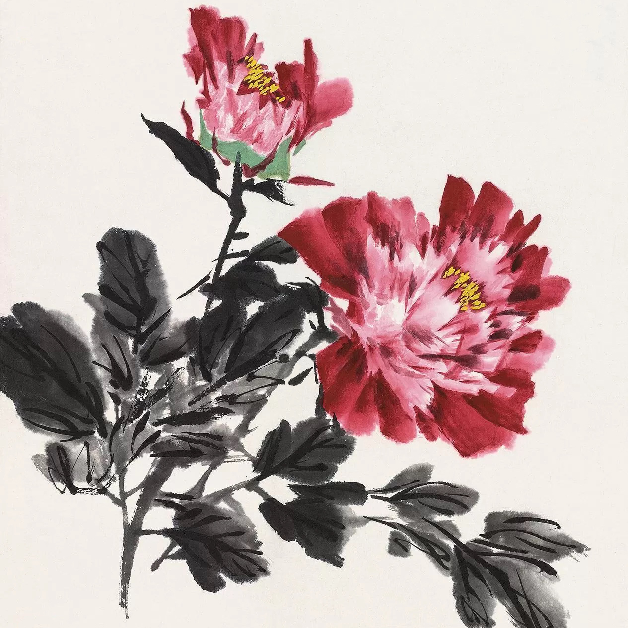 【墨牡丹】