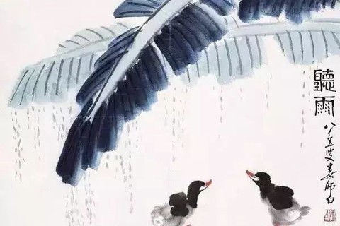 【听雨】