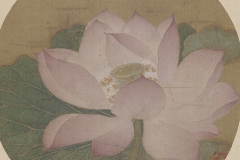 【出水芙蓉图】